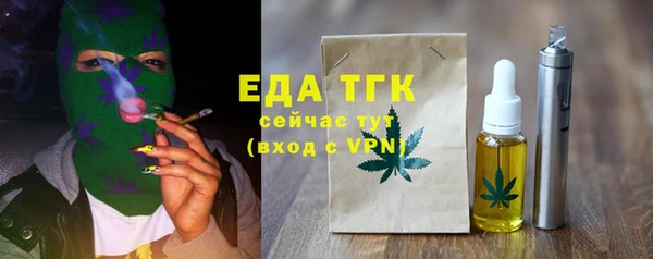 МДПВ Бородино