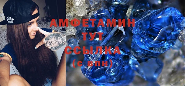 МДПВ Бородино