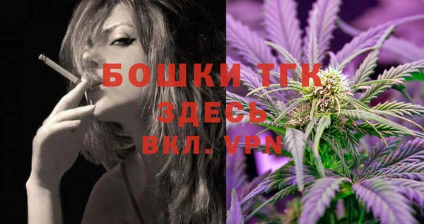 МДПВ Бородино