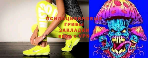 прущие грибы Белокуриха