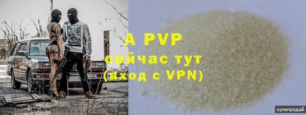 МДПВ Бородино