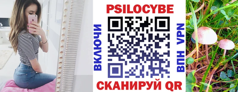OMG зеркало  купить наркотики цена  Кодинск  Галлюциногенные грибы Cubensis 